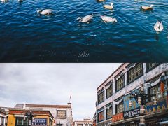 -宗角禄康公园