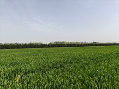 -汉长安城未央宫国家考古遗址公园