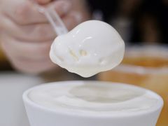 -老周记顺德双皮奶
