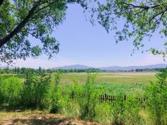 -野鸭湖国家湿地公园