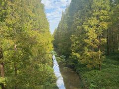 -黄海国家森林公园