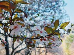 -山东师范大学(千佛山校区)