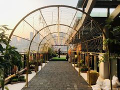 -冰冰龙虾·江湖菜·花园江景餐厅