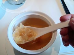 -觀芷隐轩
