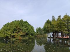 -贡湖湾湿地公园