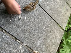 -汤旺河林海奇石景区