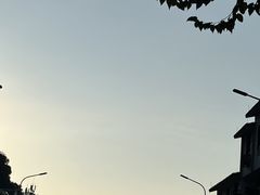 -大师傅金奖啤酒鱼(西街老店)