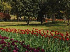 -郑州中国绿化博览园