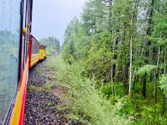 -莫尔道嘎国家森林公园