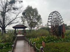 -那考河湿地公园