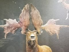 -呼和浩特博物馆