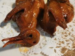 -云中小雅