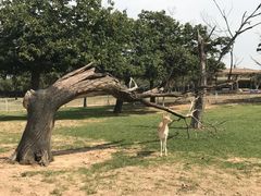-西安秦岭野生动物园