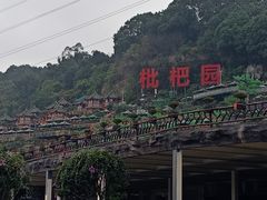 -枇杷园食为鲜火锅(南山店)