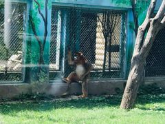 -西安秦岭野生动物园