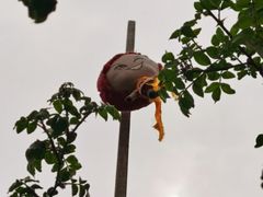 -前门兵部洼胡同停车场