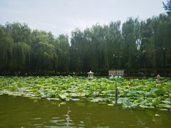 -团结湖公园
