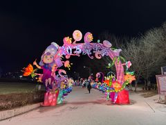 -沈阳奥体冰雪嘉年华
