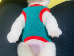 -逗柴咖啡屋·狗咖猫咖宠物桌游