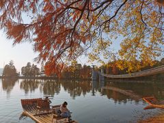 -东湖落雁景区