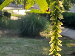 -白塘生态植物园