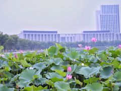 -尚贤河湿地