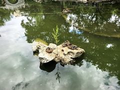 -宣武艺园