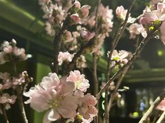 -Love Story爱情故事·养生SPA会所(新侨店)