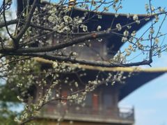 -广富林郊野公园