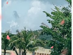 -亚龙湾国际玫瑰谷