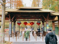 -东平国家森林公园