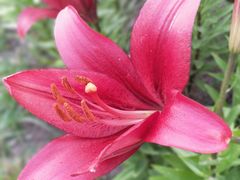 -长春公园(普阳街道)