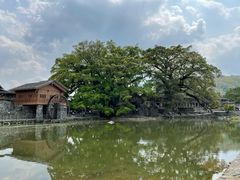-福建土楼(南靖)景区
