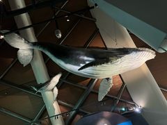 -深海中餐厅(国家海洋博物馆店)