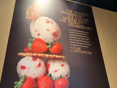 -哈根达斯(龙湖时代天街店)