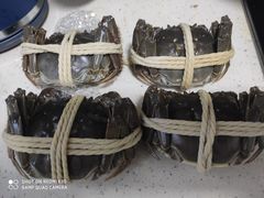 -阳澄湖大闸蟹·琼灵阁牌品牌连锁(吴中总店)