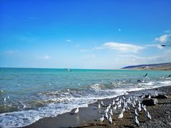 -青海湖国家重点风景名胜区