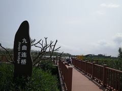 -芒洲湿地公园