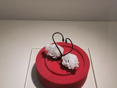 -罗红摄影艺术馆