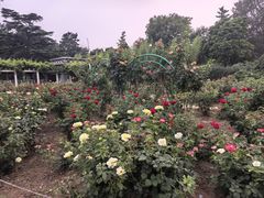 -国家植物园南园