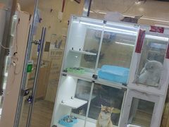 -宝鸡东道花鸟鱼虫市场(吉利花园商场店)