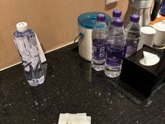 -电谷雅阁国际大酒店