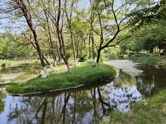 -长白岛森林公园