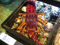 -金唐海鲜酒家