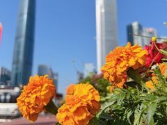 -海心沙亚运公园