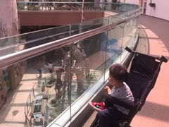 -陕西自然博物馆