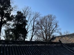 -潭柘寺景区