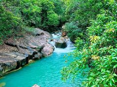 -广州白江湖森林公园