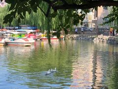 -团结湖公园