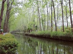 -合肥滨湖国家森林公园